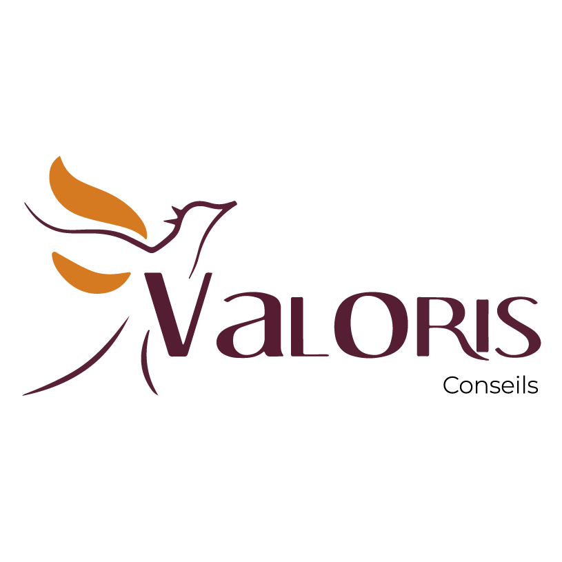 Logo Valoris Conseil